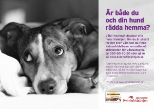 Se Sambandet hund kopia