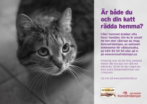 Se sambandet Katt kopia
